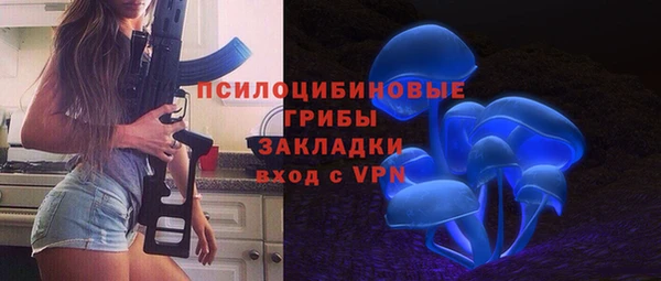 индика Горнозаводск