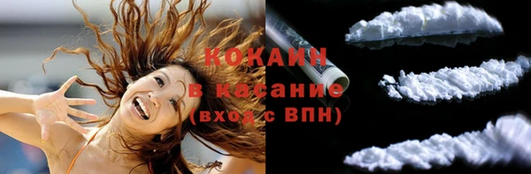 индика Горнозаводск