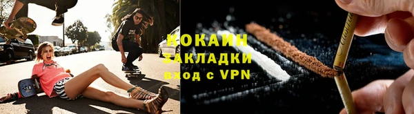 индика Горнозаводск