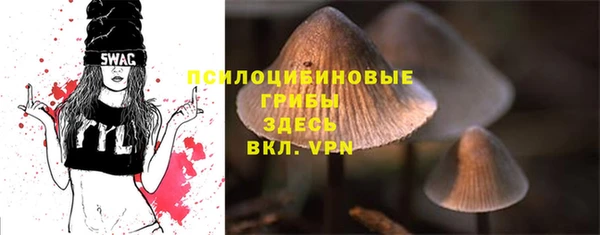 первитин Горно-Алтайск