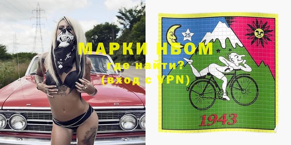 индика Горнозаводск