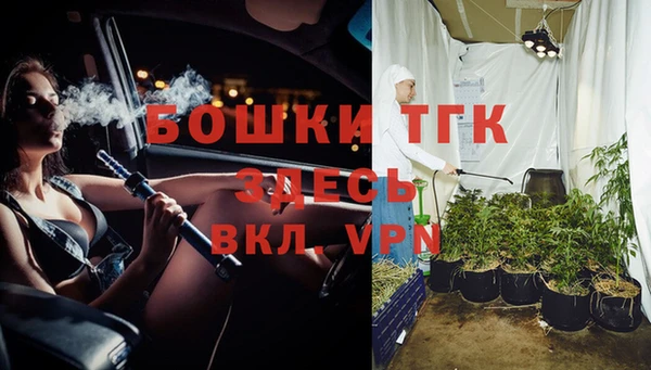 спиды Горняк