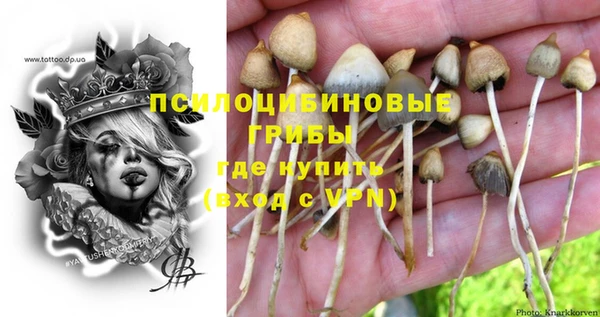 спиды Горняк