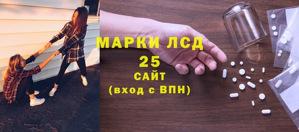 индика Горнозаводск