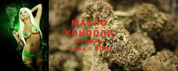 спиды Горняк