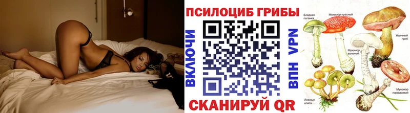 это формула  Дорогобуж  Галлюциногенные грибы прущие грибы  хочу наркоту 